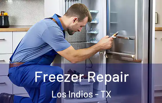  Freezer Repair Los Indios - TX