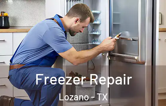 Freezer Repair Lozano - TX