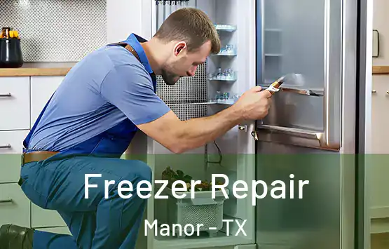  Freezer Repair Manor - TX