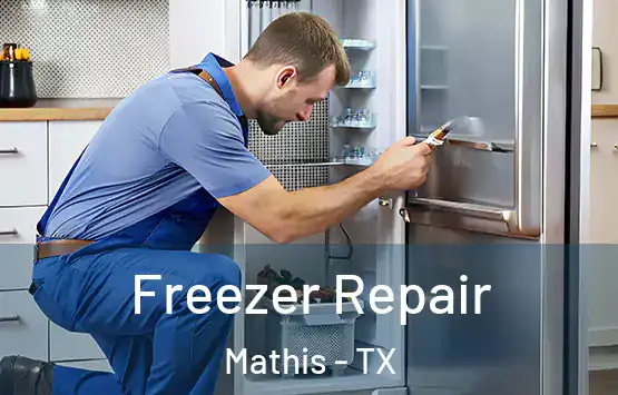  Freezer Repair Mathis - TX