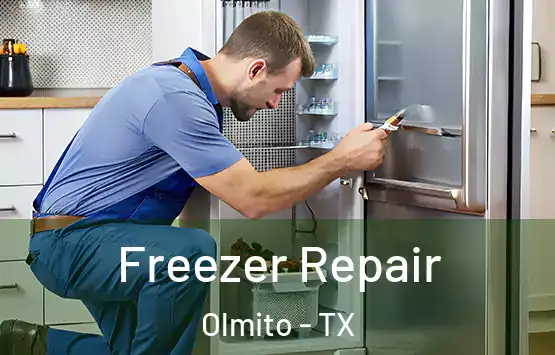  Freezer Repair Olmito - TX