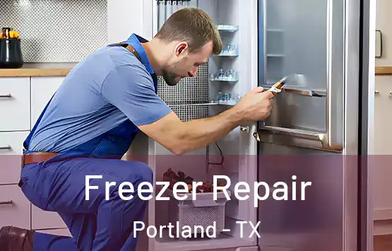  Freezer Repair Portland - TX