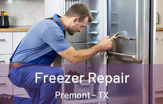  Freezer Repair Premont - TX