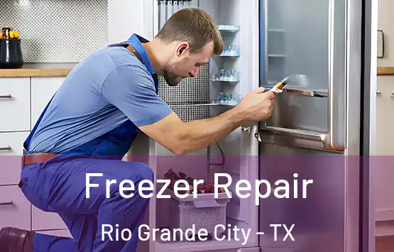  Freezer Repair Rio Grande City - TX