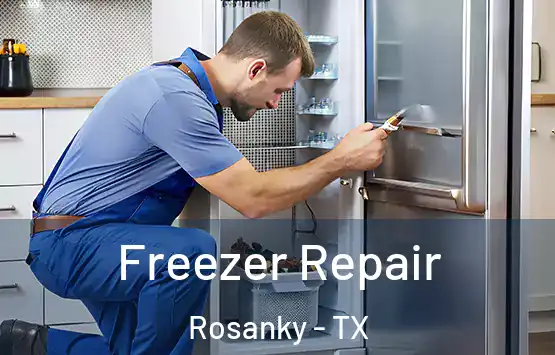  Freezer Repair Rosanky - TX