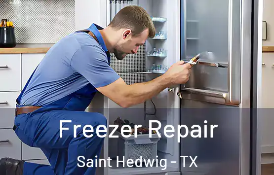  Freezer Repair Saint Hedwig - TX