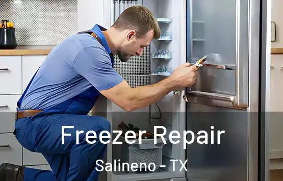  Freezer Repair Salineno - TX
