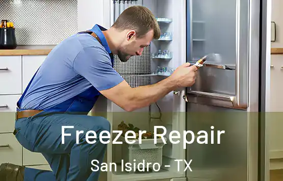  Freezer Repair San Isidro - TX