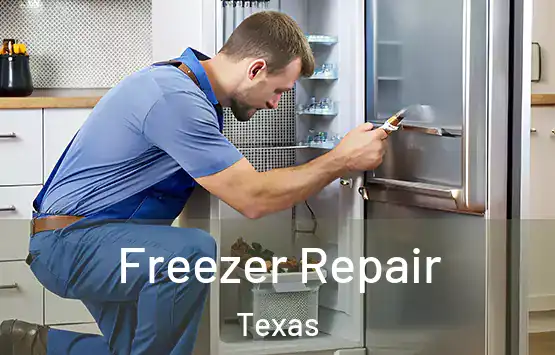  Freezer Repair Texas