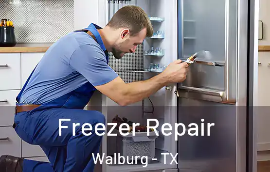  Freezer Repair Walburg - TX