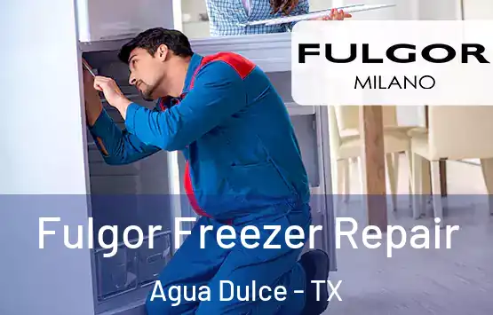  Fulgor Freezer Repair Agua Dulce - TX