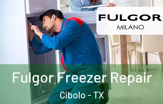  Fulgor Freezer Repair Cibolo - TX