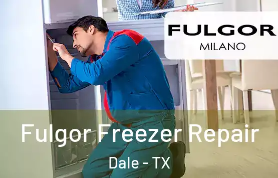  Fulgor Freezer Repair Dale - TX