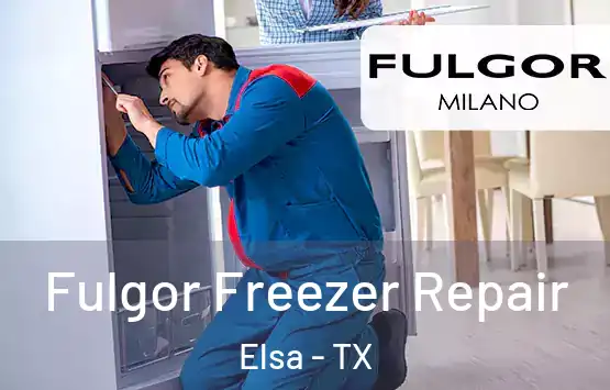  Fulgor Freezer Repair Elsa - TX