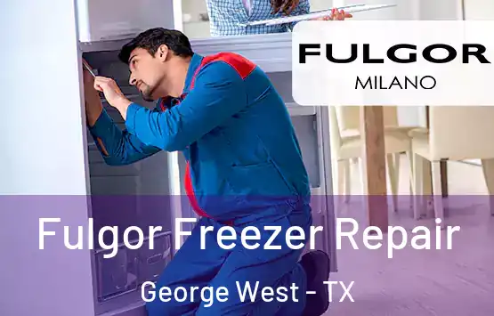  Fulgor Freezer Repair George West - TX