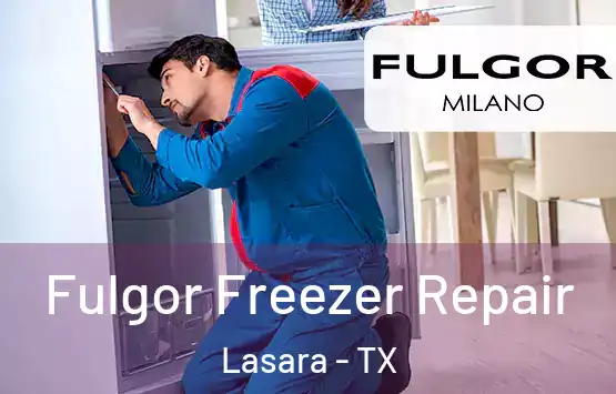  Fulgor Freezer Repair Lasara - TX