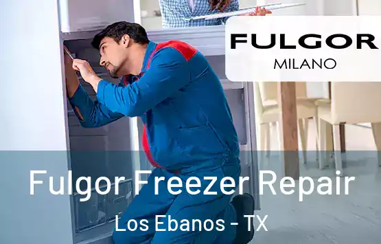  Fulgor Freezer Repair Los Ebanos - TX