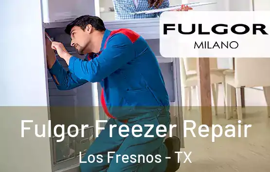  Fulgor Freezer Repair Los Fresnos - TX