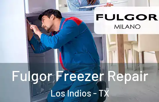  Fulgor Freezer Repair Los Indios - TX