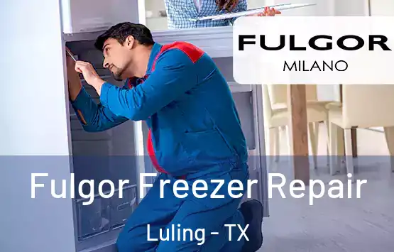  Fulgor Freezer Repair Luling - TX