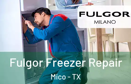  Fulgor Freezer Repair Mico - TX