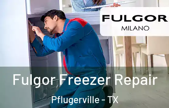  Fulgor Freezer Repair Pflugerville - TX