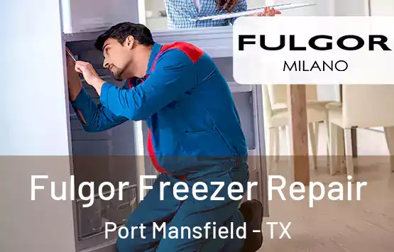  Fulgor Freezer Repair Port Mansfield - TX
