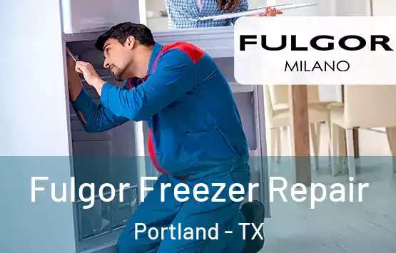  Fulgor Freezer Repair Portland - TX