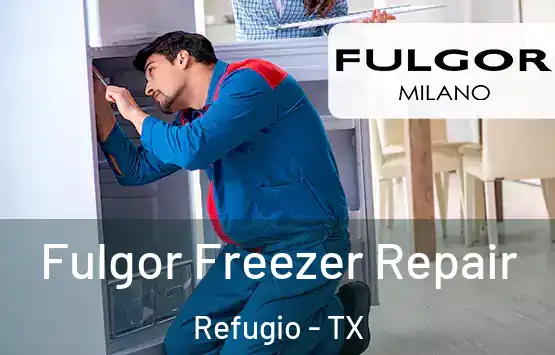  Fulgor Freezer Repair Refugio - TX
