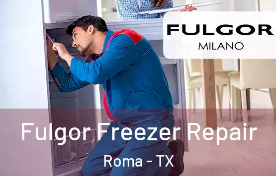  Fulgor Freezer Repair Roma - TX