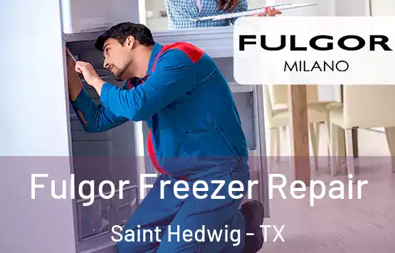  Fulgor Freezer Repair Saint Hedwig - TX