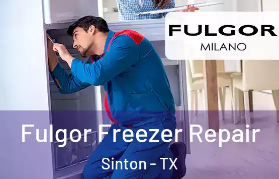  Fulgor Freezer Repair Sinton - TX