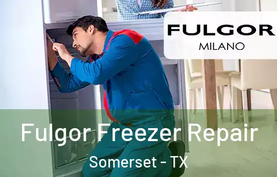  Fulgor Freezer Repair Somerset - TX