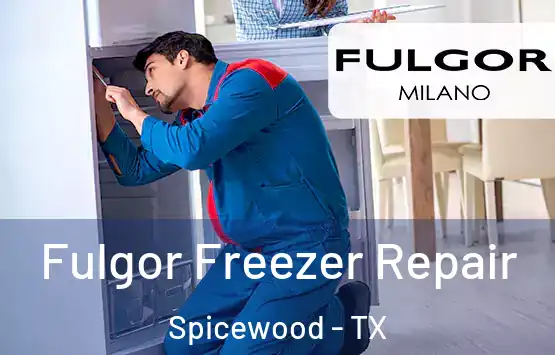  Fulgor Freezer Repair Spicewood - TX