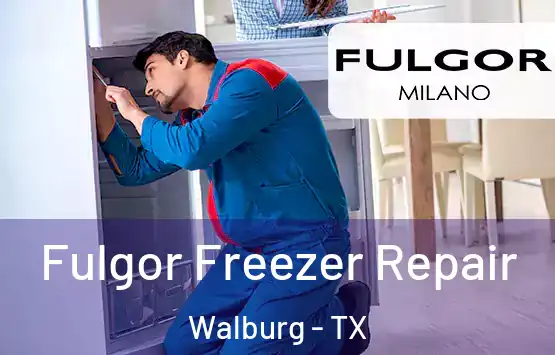  Fulgor Freezer Repair Walburg - TX