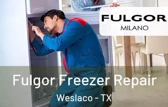  Fulgor Freezer Repair Weslaco - TX