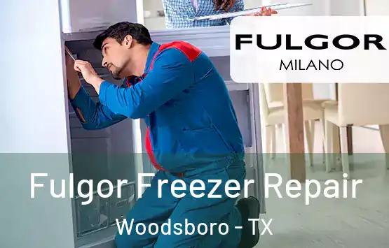  Fulgor Freezer Repair Woodsboro - TX