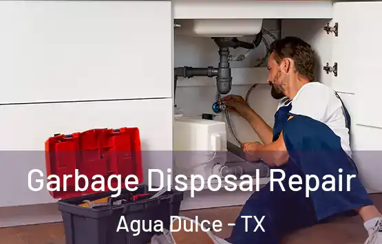  Garbage Disposal Repair Agua Dulce - TX