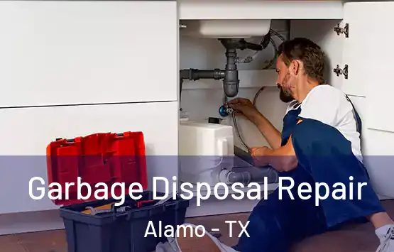  Garbage Disposal Repair Alamo - TX