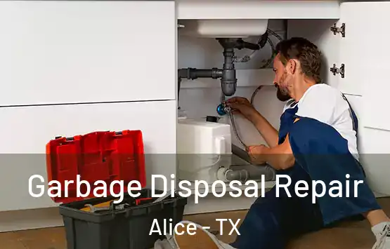  Garbage Disposal Repair Alice - TX