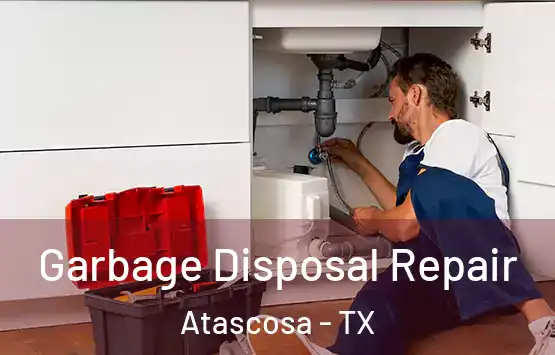  Garbage Disposal Repair Atascosa - TX