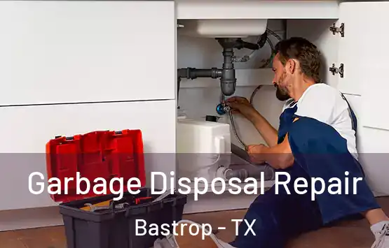  Garbage Disposal Repair Bastrop - TX