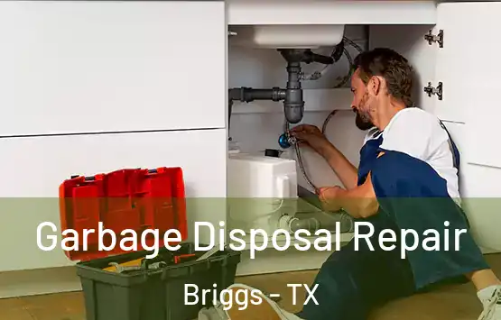  Garbage Disposal Repair Briggs - TX