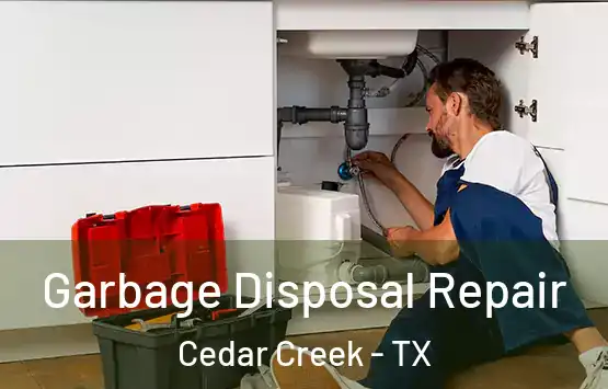  Garbage Disposal Repair Cedar Creek - TX