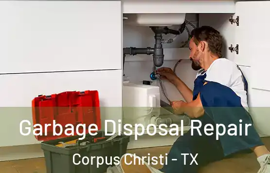  Garbage Disposal Repair Corpus Christi - TX