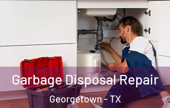  Garbage Disposal Repair Georgetown - TX