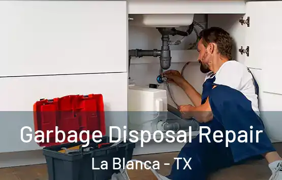  Garbage Disposal Repair La Blanca - TX