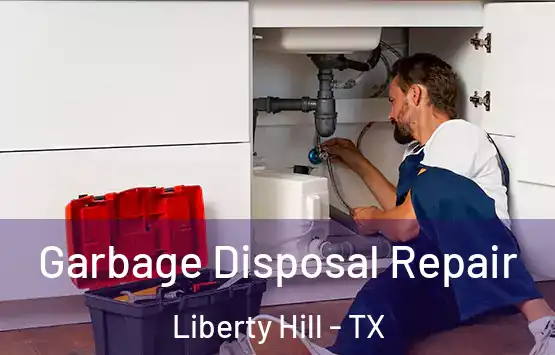  Garbage Disposal Repair Liberty Hill - TX