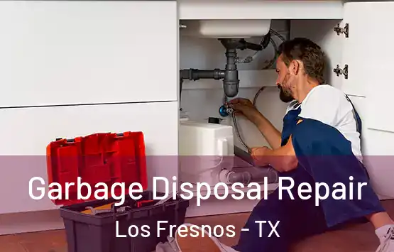  Garbage Disposal Repair Los Fresnos - TX