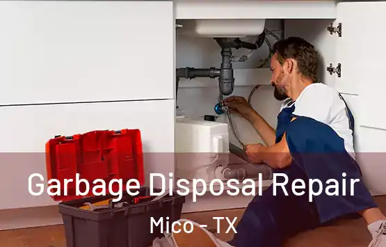  Garbage Disposal Repair Mico - TX